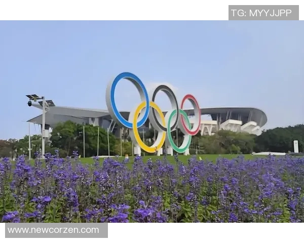 广州排球队耐力问题引发热议球迷与专家各执己见探讨背后原因