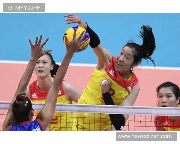 深圳排球队的成长之路：一段激情与拼搏交织的排球纪实故事